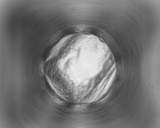 X0000075330094200609292020