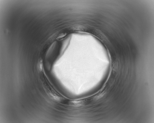 X0000075330095200609292020