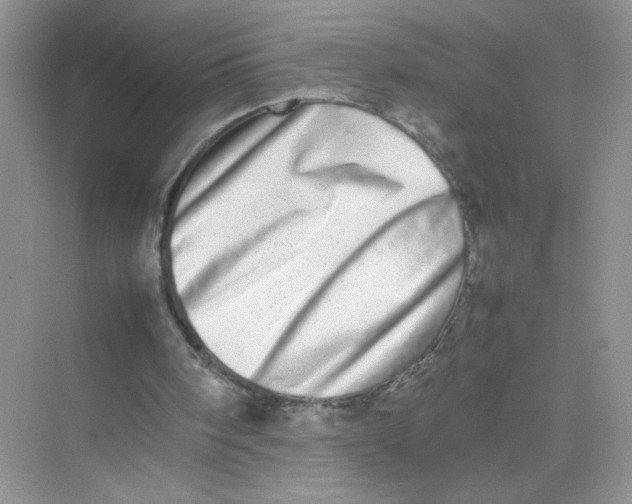 X0000075330098200609292019