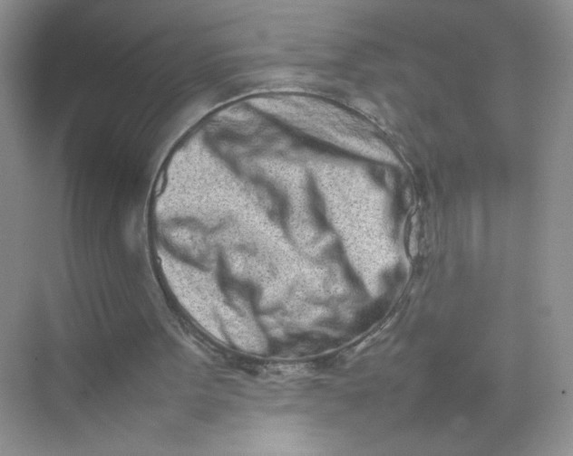 X0000075330099200609292019