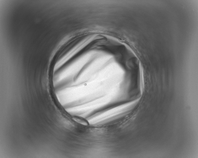 X0000075330102200609292019