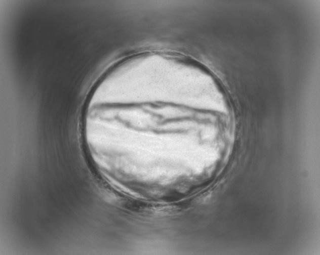 X0000075330103200609292019