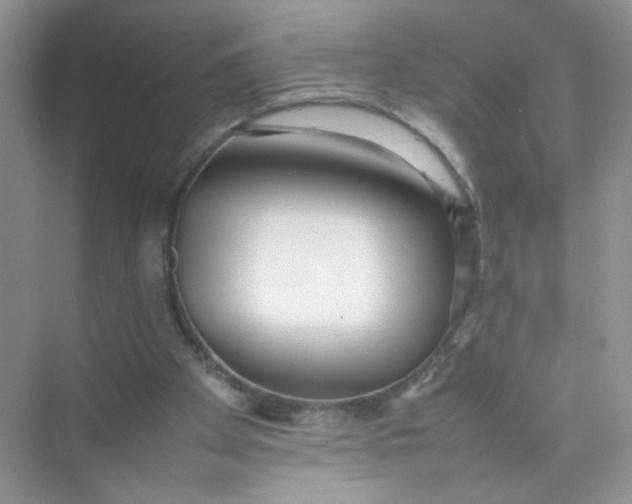 X0000075330105200609292019