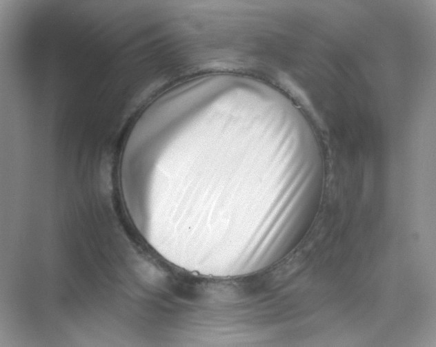 X0000075330106200609292019