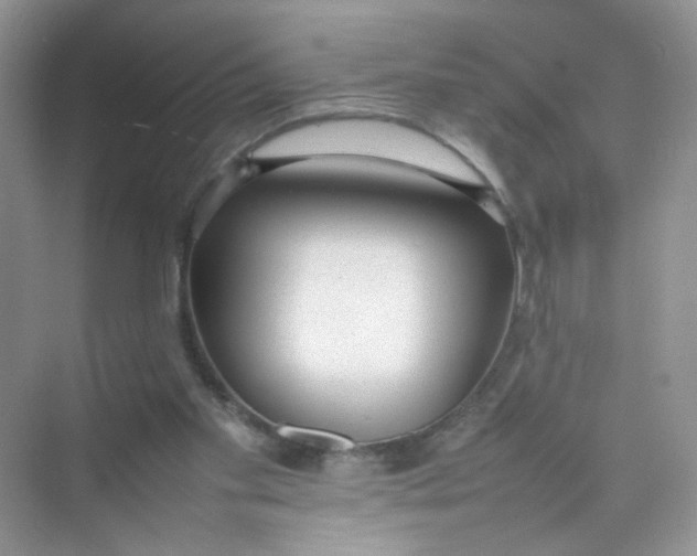 X0000075330109200609292019