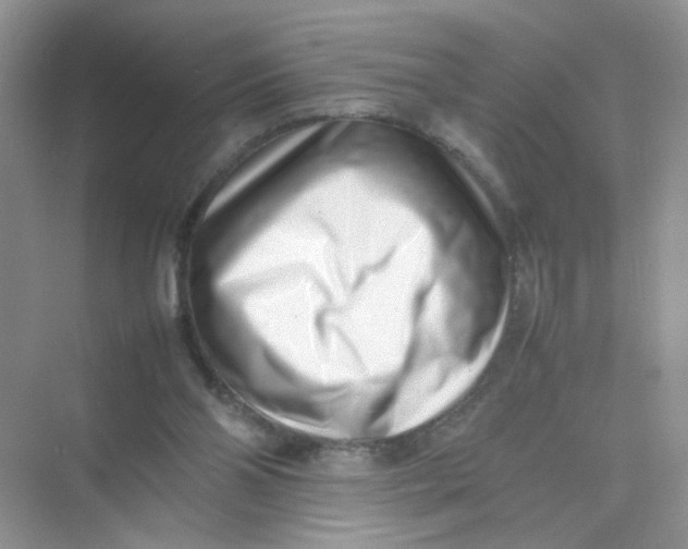 X0000075330110200609292019
