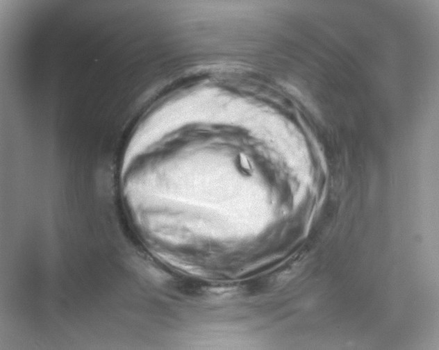 X0000075330111200609292019