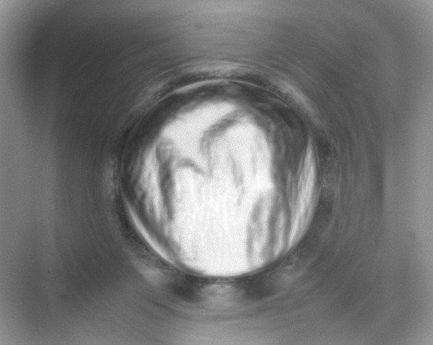 X0000075330119200609292019