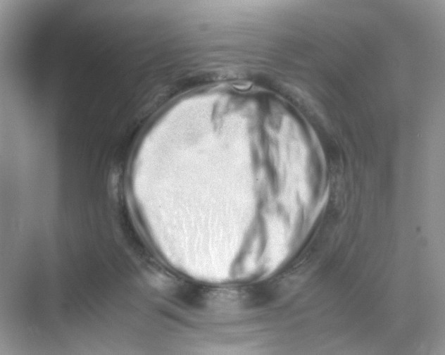 X0000075330123200609292018