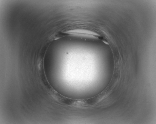 X0000075330125200609292018