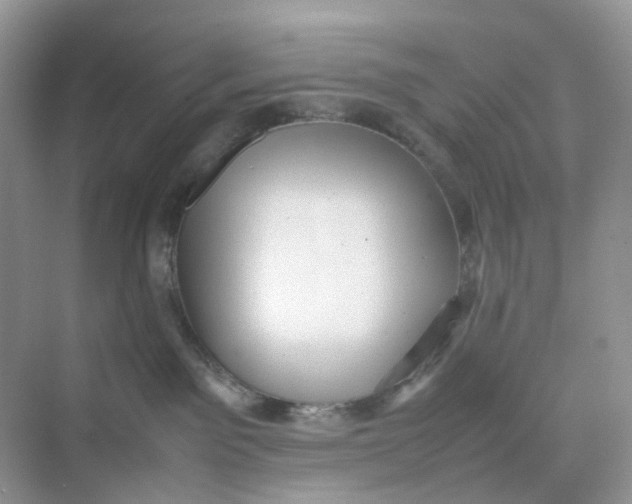 X0000075330141200609292018