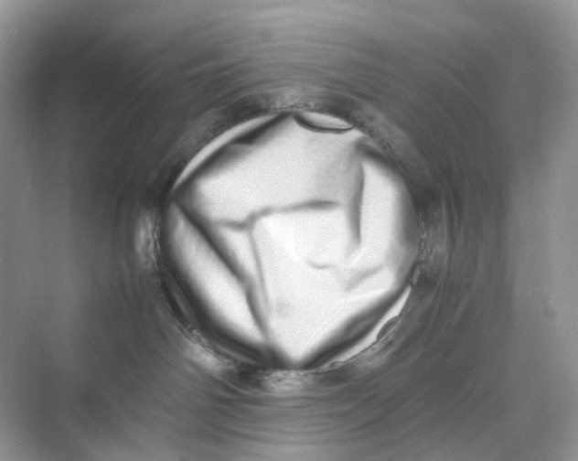 X0000075330142200609292018