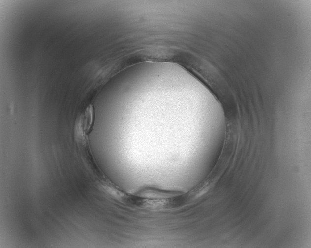 X0000075330143200609292018