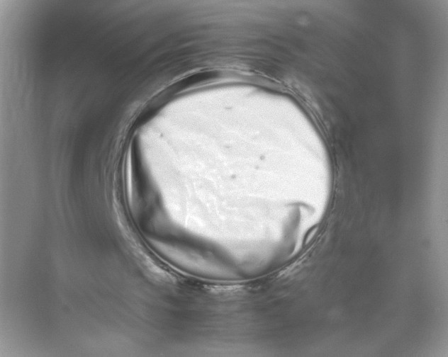 X0000075330145200609292017