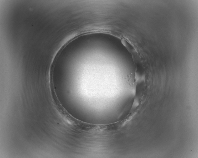 X0000075330148200609292017