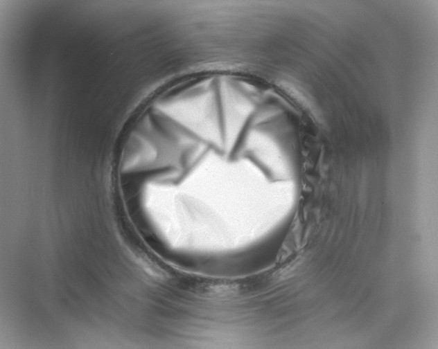 X0000075330156200609292018