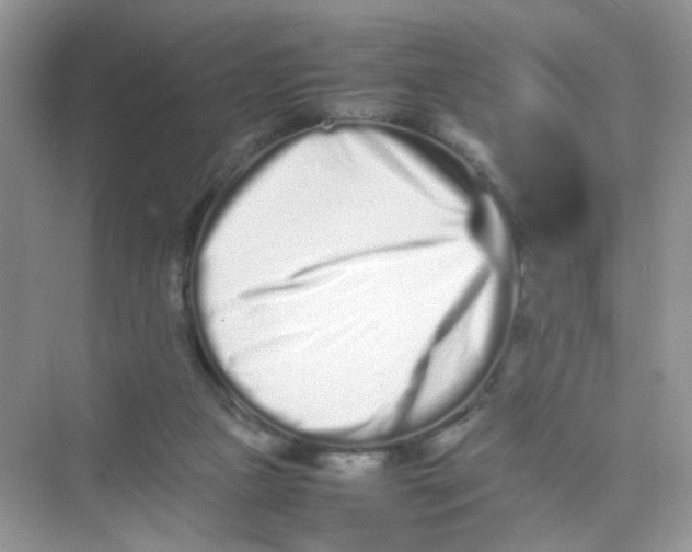 X0000075330161200609292018