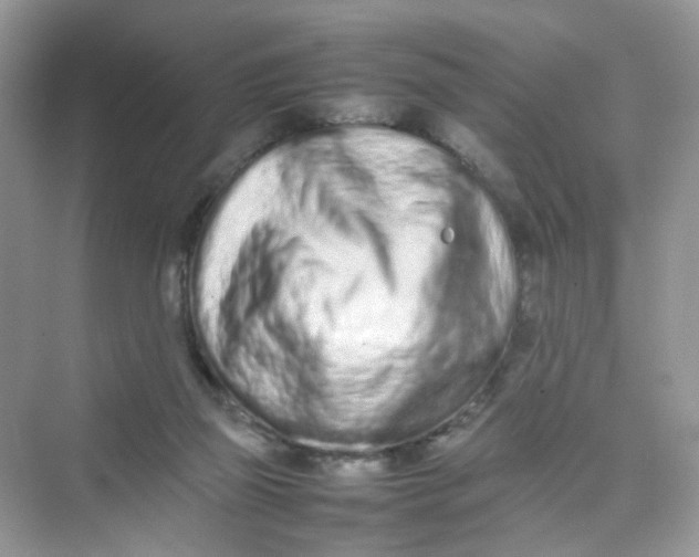 X0000075330165200609292018