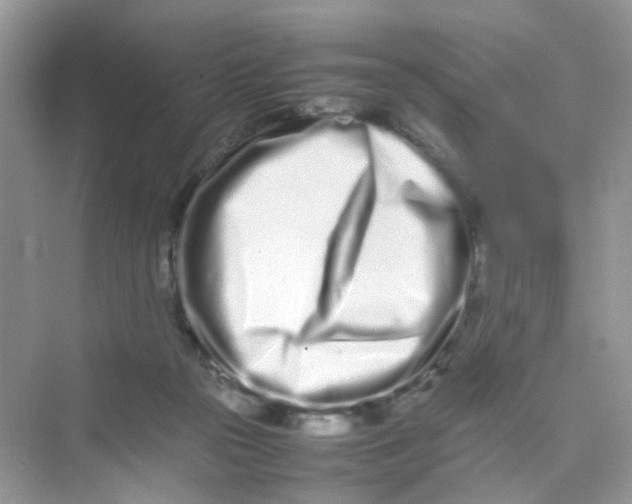 X0000075330169200609292018