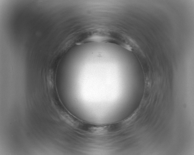 X0000075330170200609292018