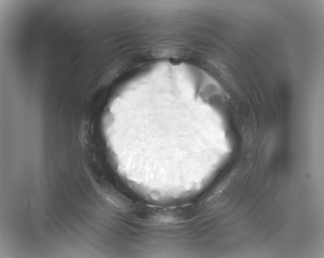 X0000075330171200609292018