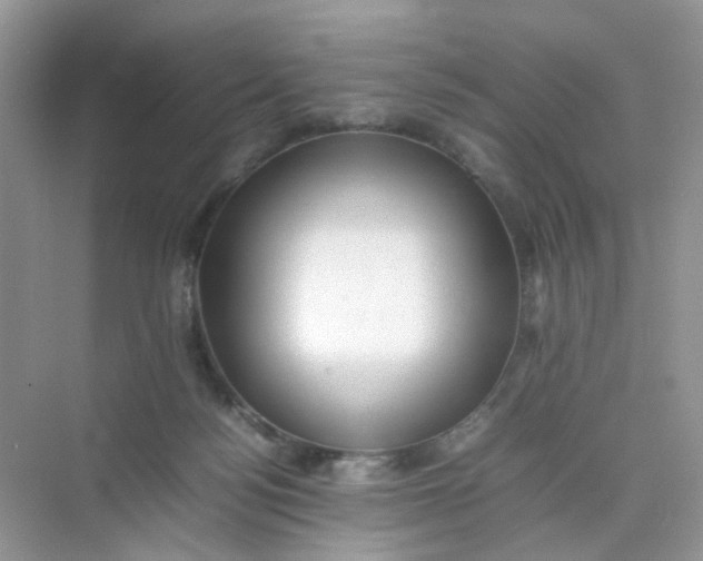 X0000075330172200609292018