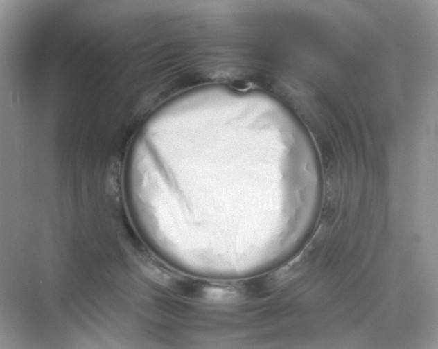 X0000075330175200609292018