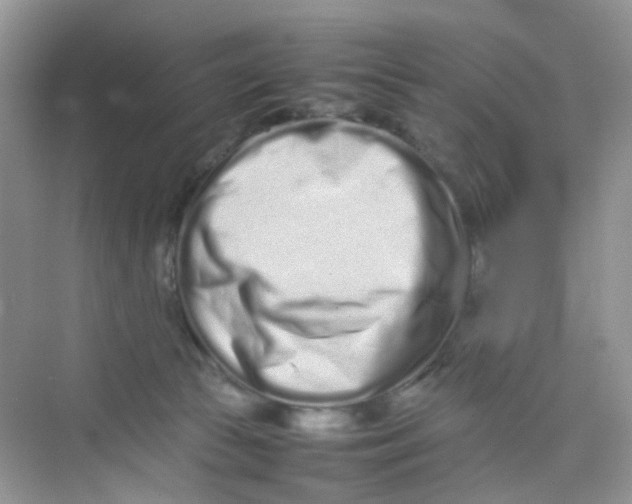 X0000075330177200609292018