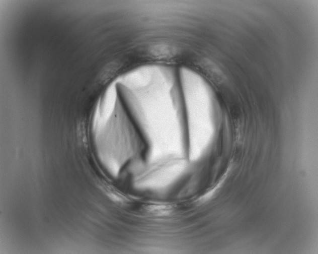 X0000075330182200609292018
