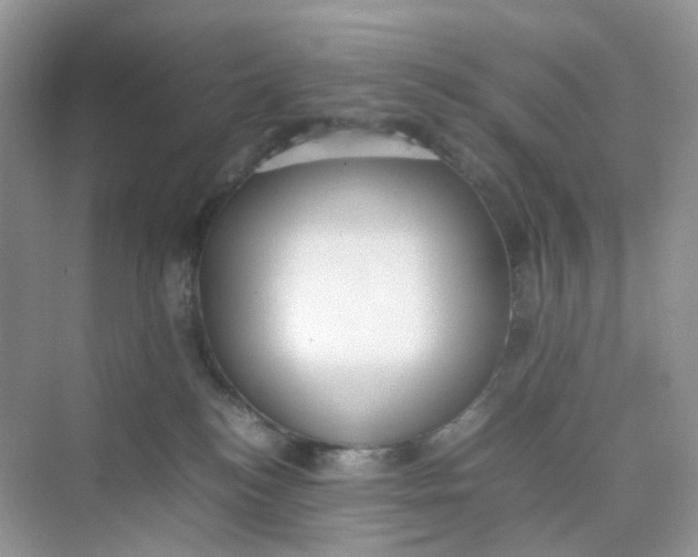 X0000075330184200609292018