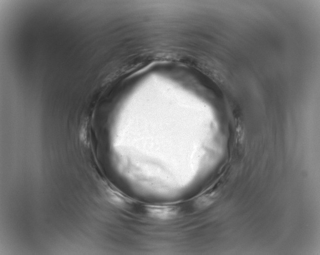X0000075330185200609292018