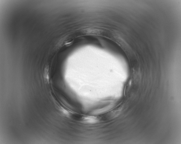 X0000075330189200609292018