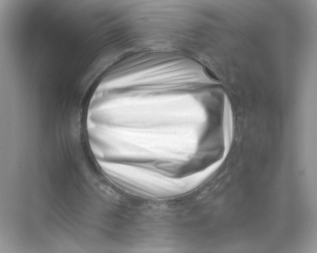 X0000075330194200609292017