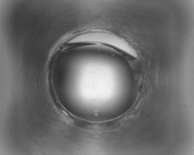 X0000075330197200609292017