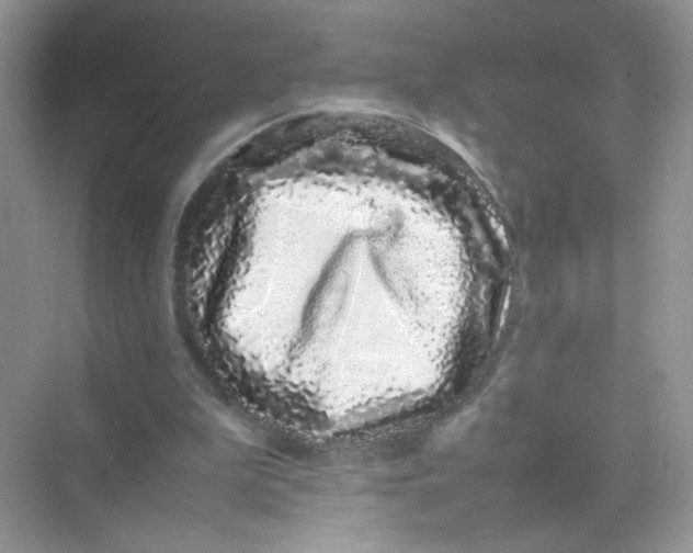 X0000075330199200609292017