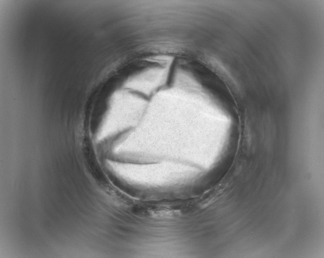X0000075330202200609292017