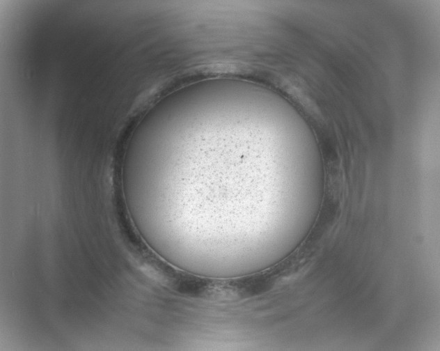 X0000075330207200609292017