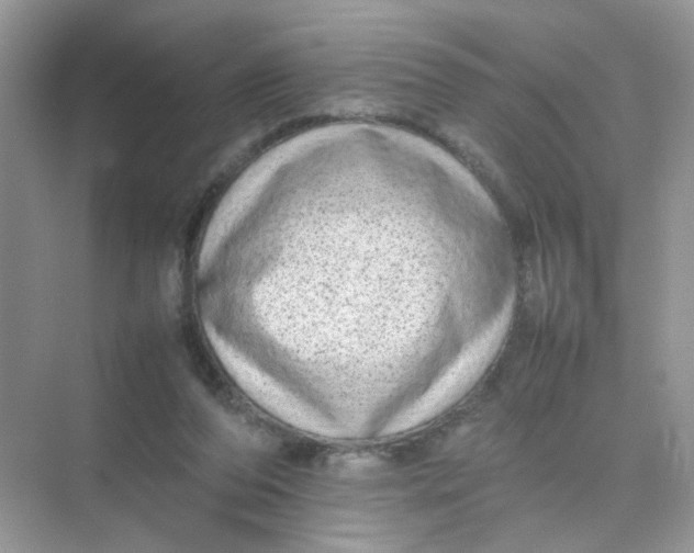 X0000075330208200609292017