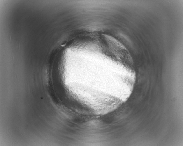 X0000075330210200609292017