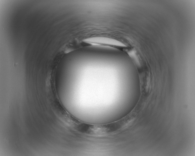 X0000075330221200609292017