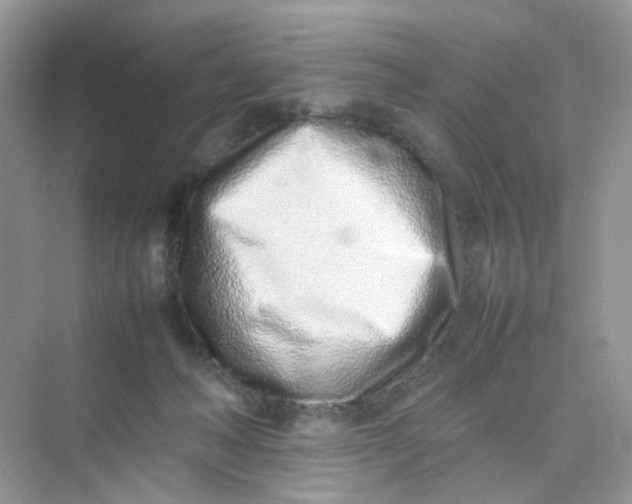 X0000075330222200609292017