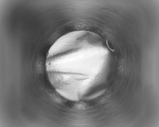 X0000075330226200609292017
