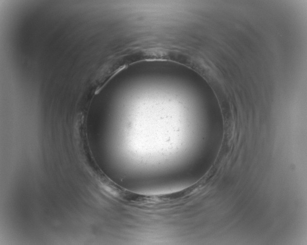 X0000075330229200609292017