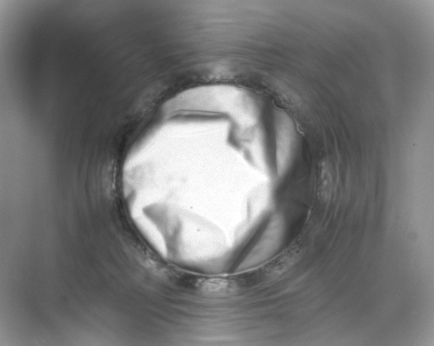 X0000075330230200609292017