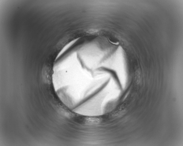 X0000075330234200609292017