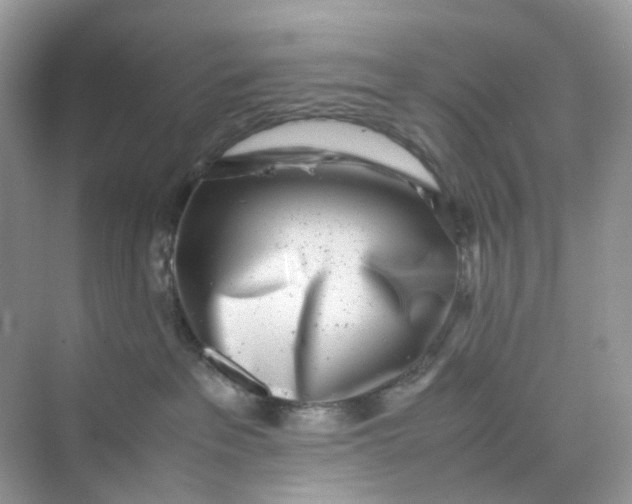 X0000075330237200609292017