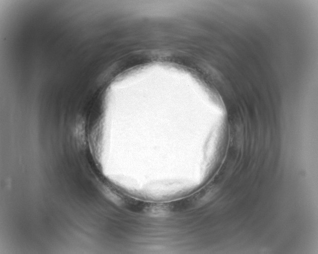 X0000075330238200609292017