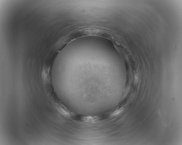 X0000075330239200609292017