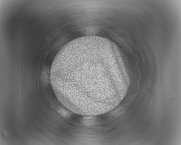 X0000075330240200609292016