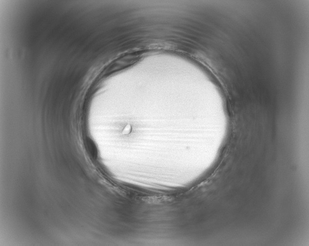 X0000075330241200609292016